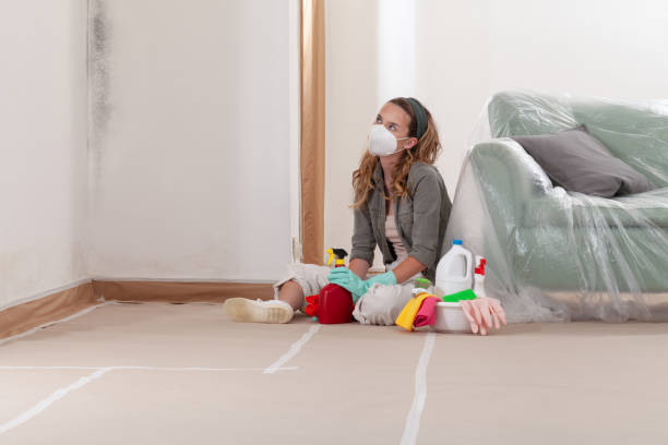 Reliable Mold Cleanup contractor in Newport, OR by Cheap Mold Removal